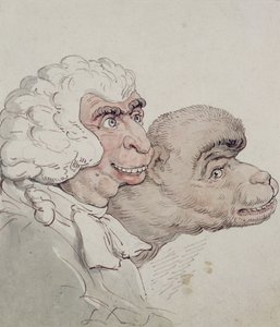 Caricature of a Judge by Thomas Rowlandson